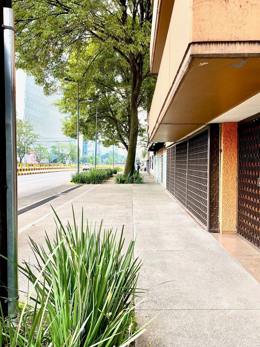 Apartamento em San José Insurgentes, Benito Juárez, foto 19 de 21