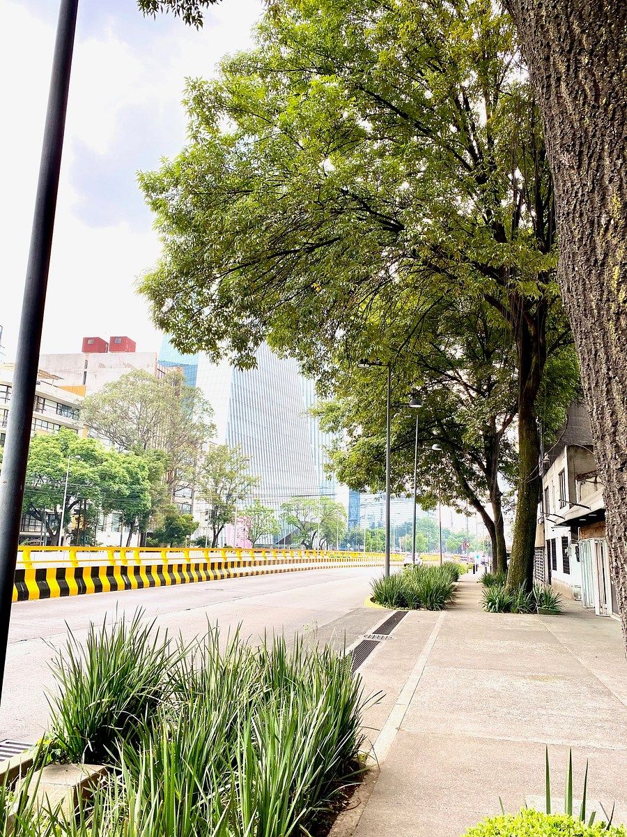 Apartamento em San José Insurgentes, Benito Juárez, foto 20 de 21