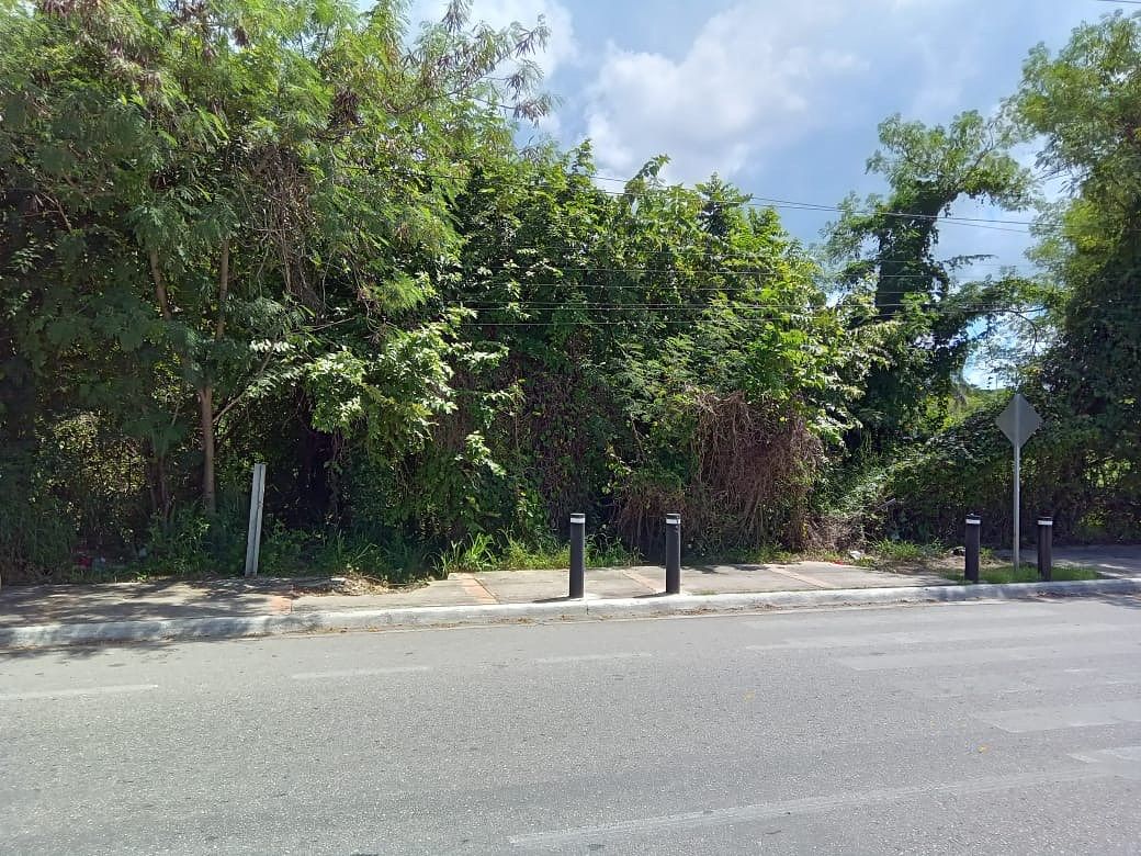 Terreno comercial en Las Flores, Campeche, foto 6 de 8