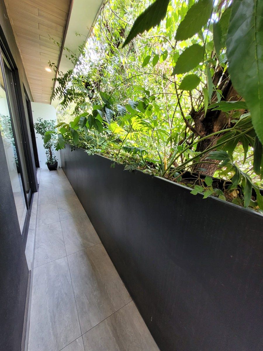 Apartamento em Del Valle Sur, Benito Juárez, foto 5 de 38