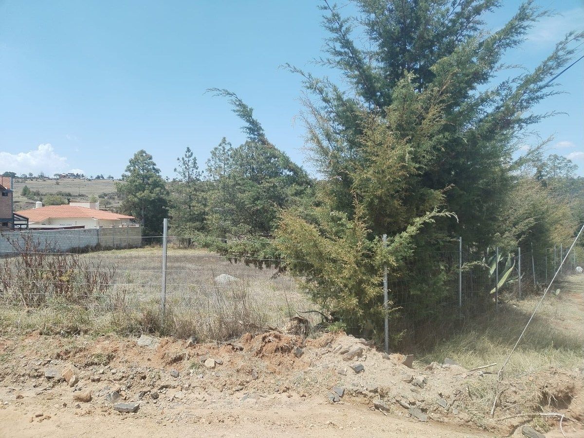 Terreno en San José Ocotillos, Huasca de Ocampo, foto 3 de 8