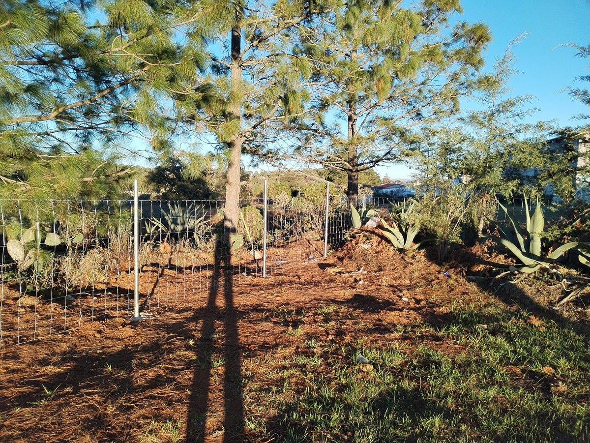 Terreno en venta en Huasca Hidalgo, foto 1 de 8