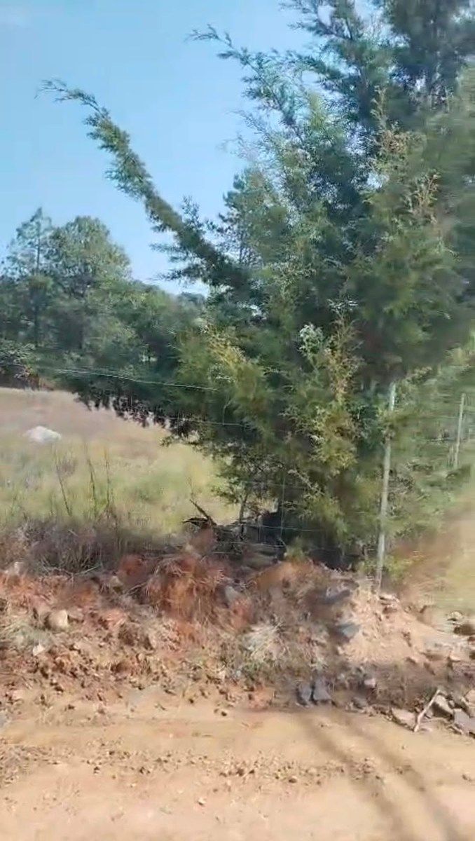 Terreno en San José Ocotillos, Huasca de Ocampo, foto 6 de 8