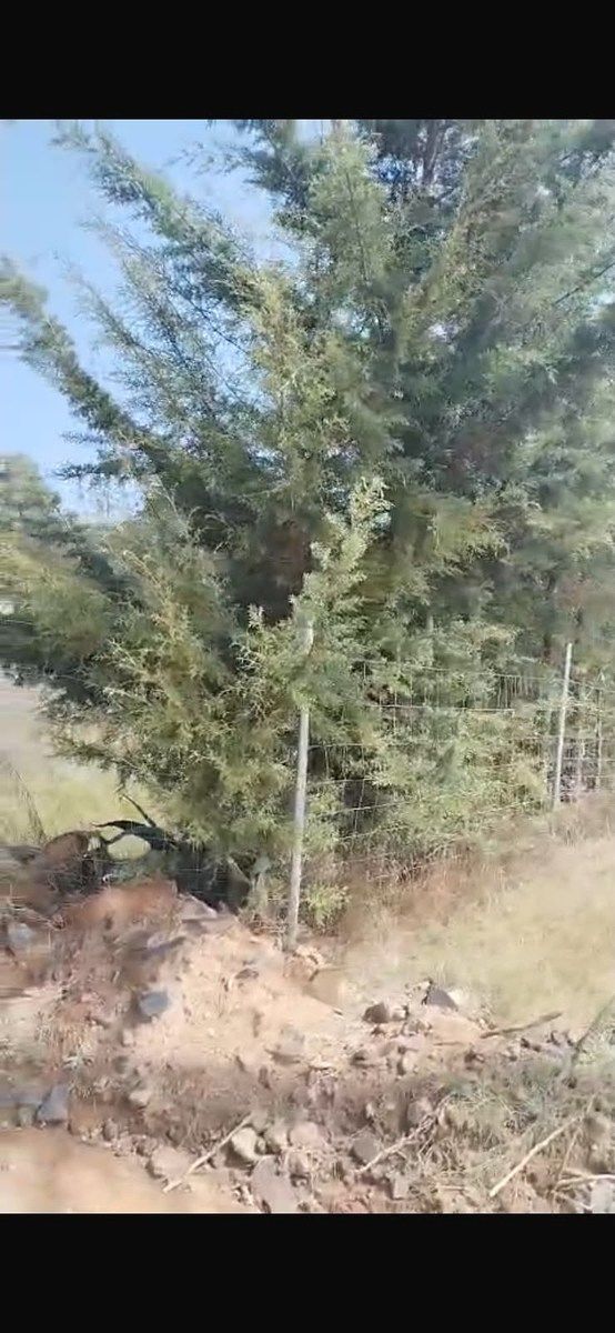 Terreno en San José Ocotillos, Huasca de Ocampo, foto 7 de 8