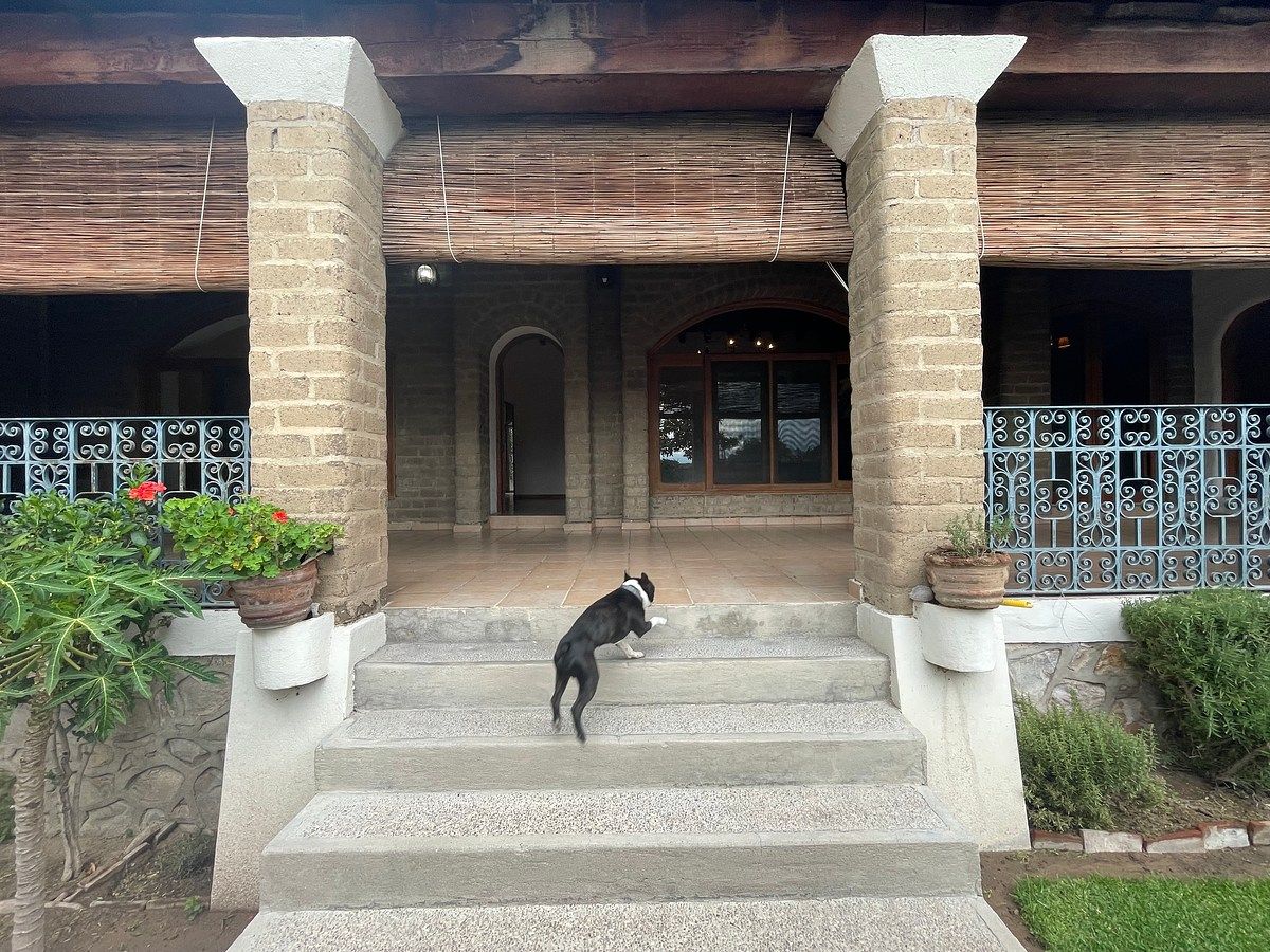 House in Villa de los Frailes, San Miguel de Allende, photo 23 of 48