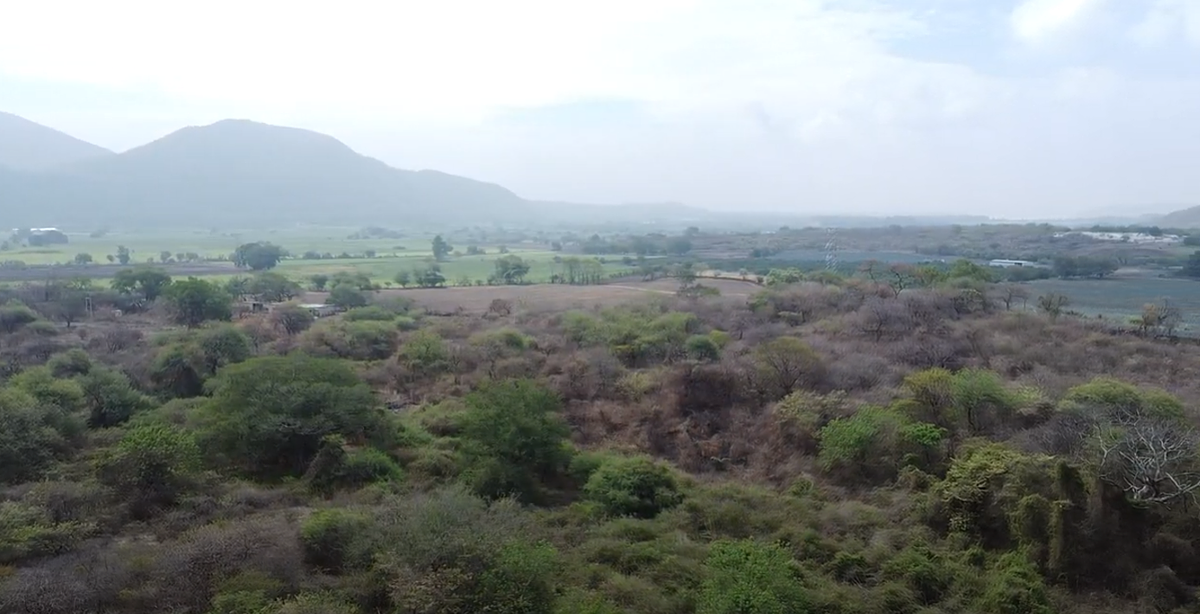 Terreno en Villa Corona, foto 1 de 5