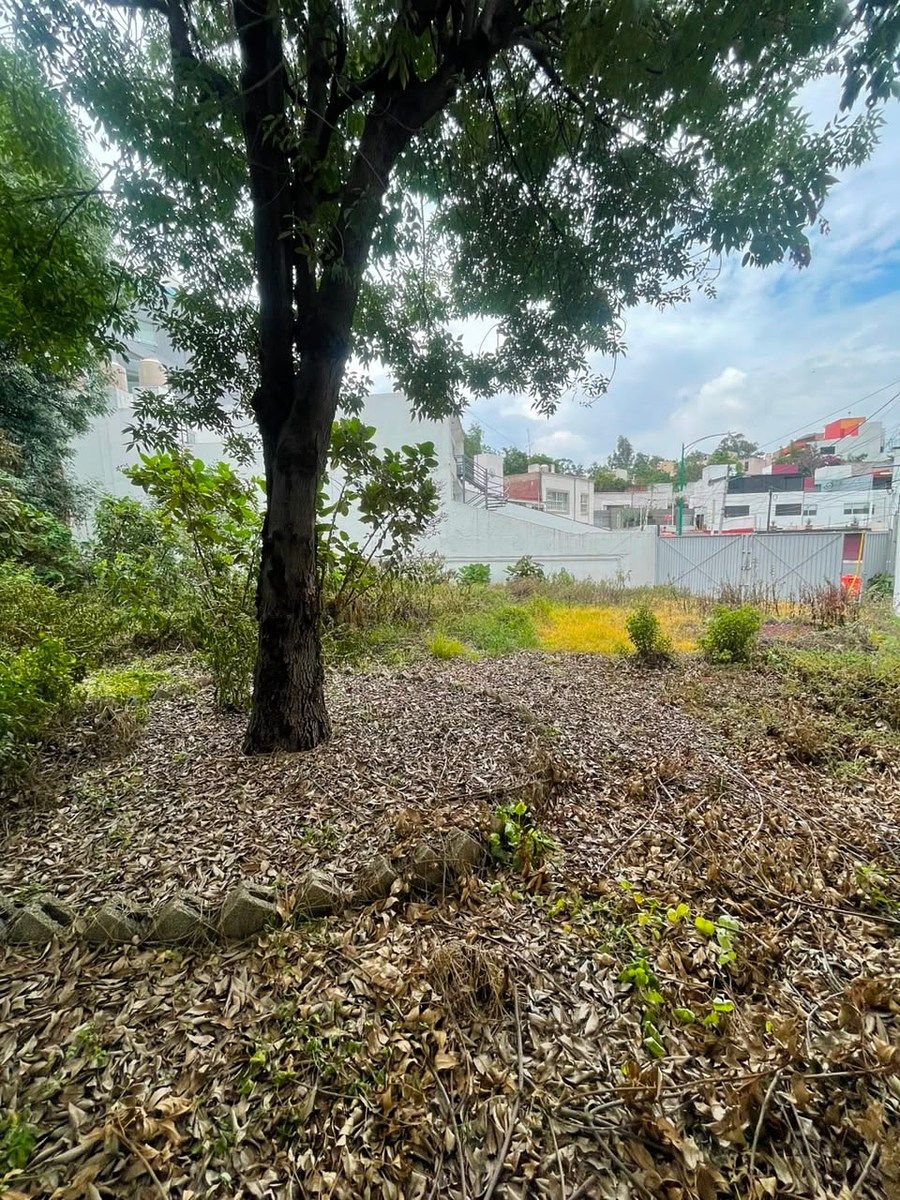 Oportunidad Única: Terreno en Venta en Oxtopulco, foto 1 de 5