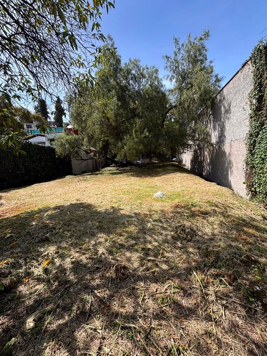 Terreno en Lomas de Tecamachalco Sección Bosques I y II, Huixquilucan, foto 5 de 8