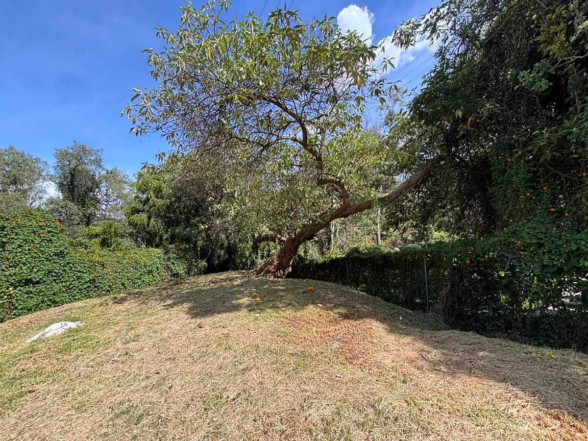 Terreno en Lomas de Tecamachalco Sección Bosques I y II, Huixquilucan, foto 3 de 8