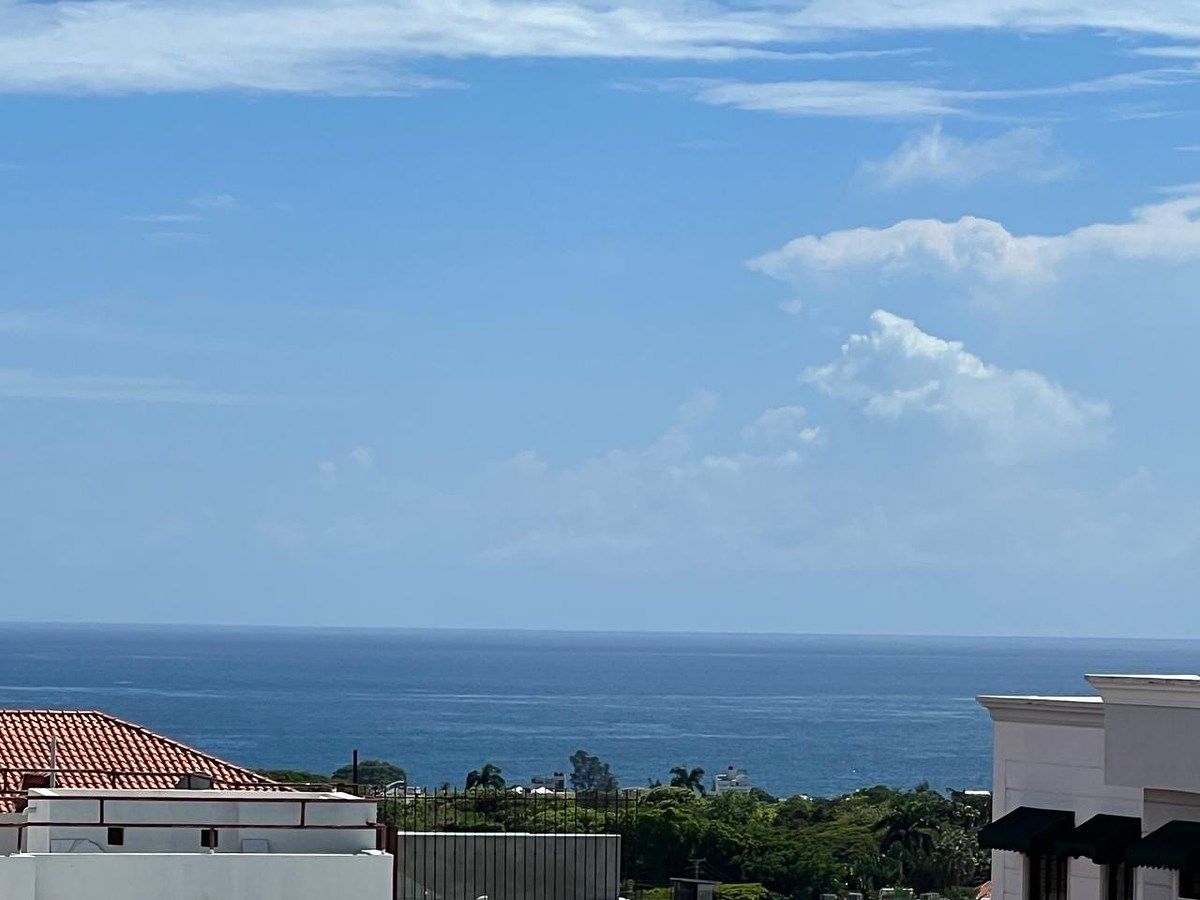 Apartamento en Renacimiento, Santo Domingo Centro (Distrito Nacional), foto 11 de 11