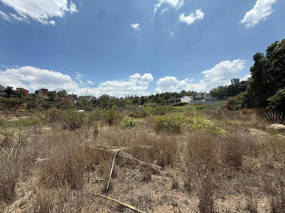 VENTA TERRENO BOSQUE REAL, photo 1 of 7