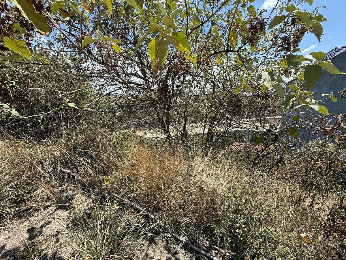 Lot in Bosque Real, Huixquilucan, photo 2 of 7
