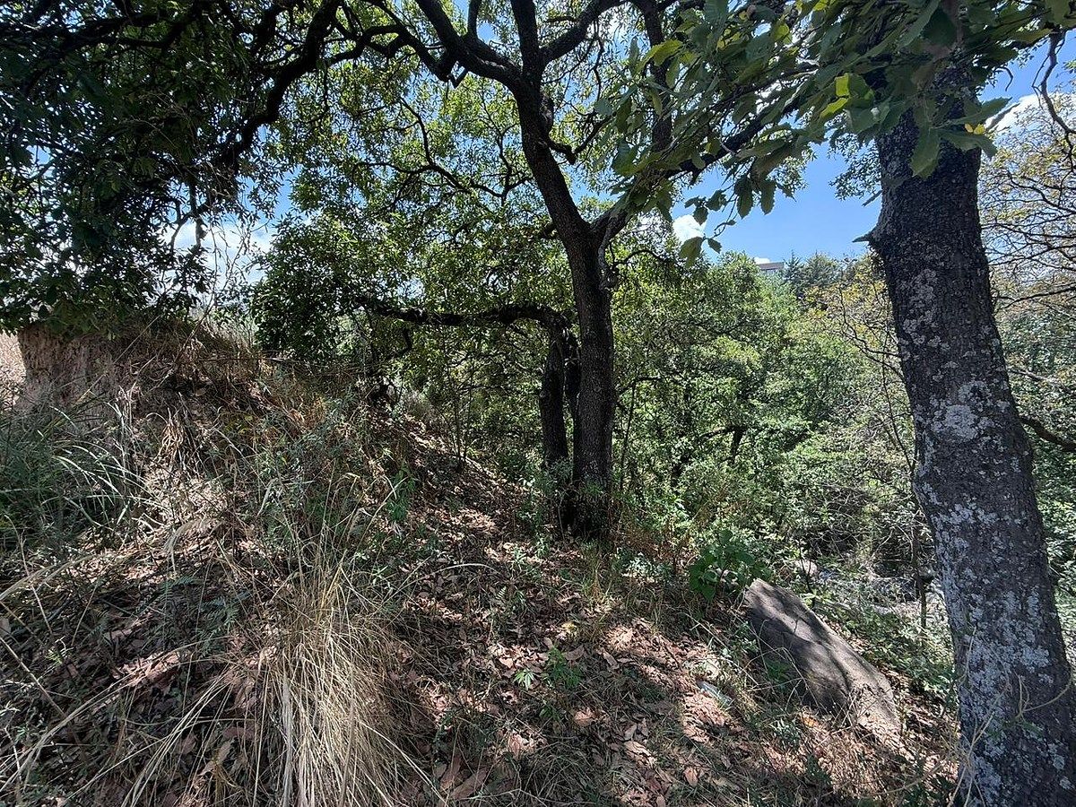 Lot in Bosque Real, Huixquilucan, photo 4 of 7