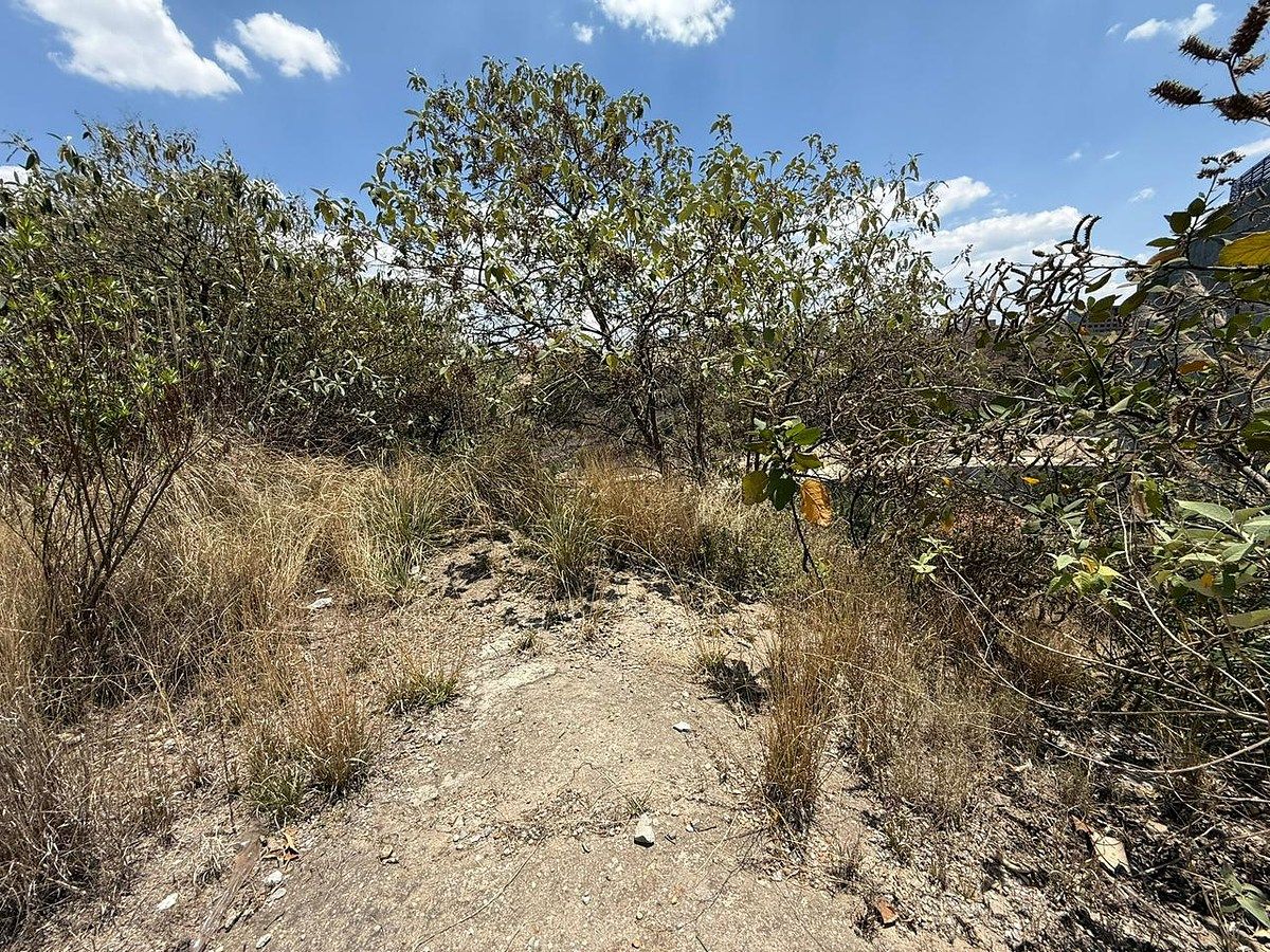Lot in Bosque Real, Huixquilucan, photo 5 of 7
