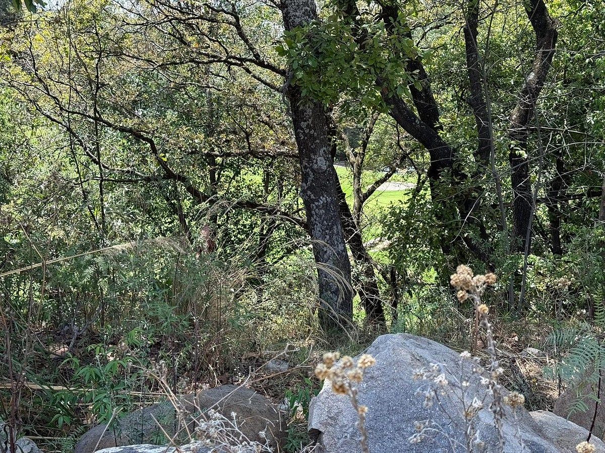 Lot in Bosque Real, Huixquilucan, photo 7 of 7