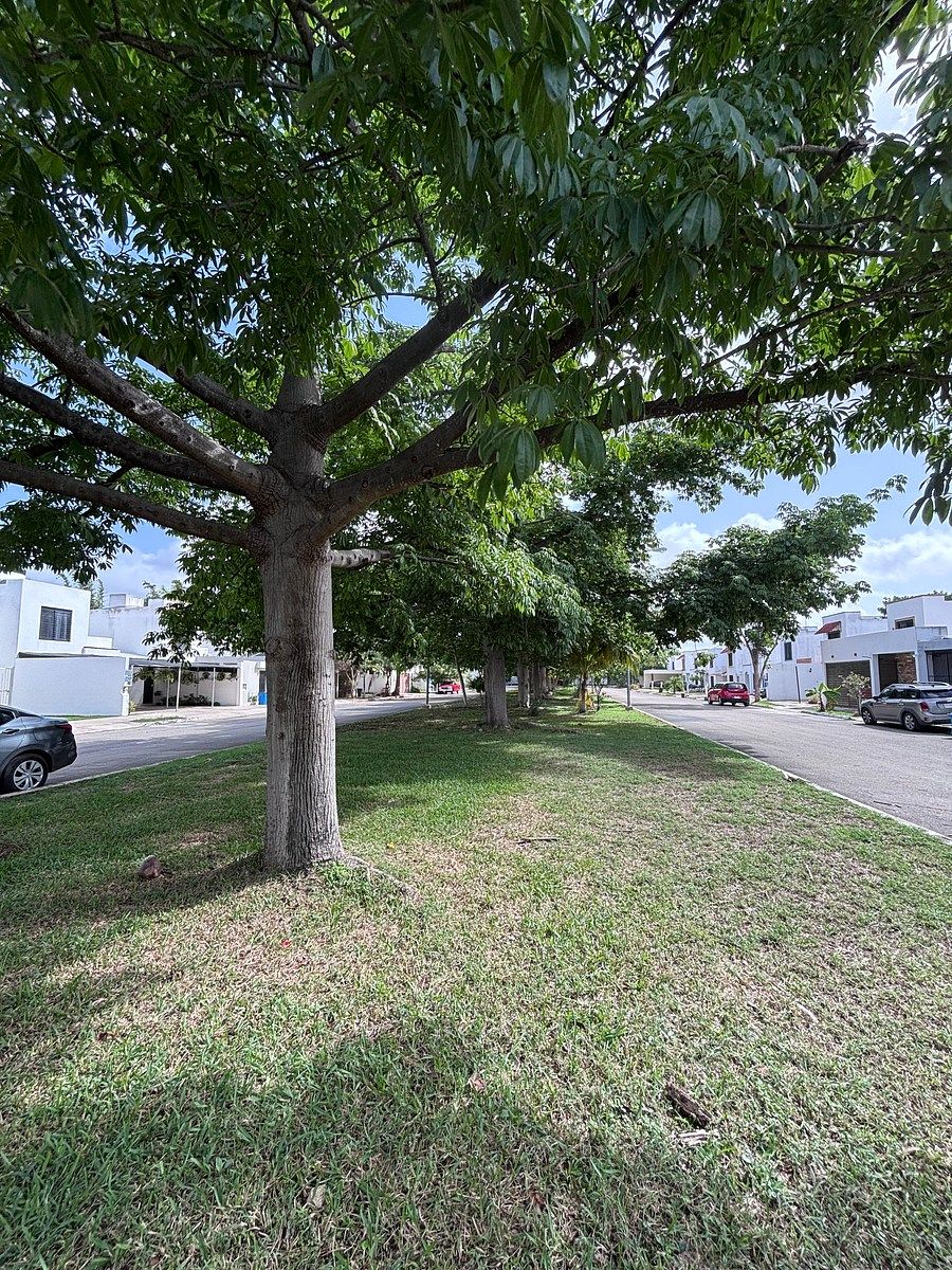 Casa em Gran Santa Fe, Mérida, foto 2 de 17