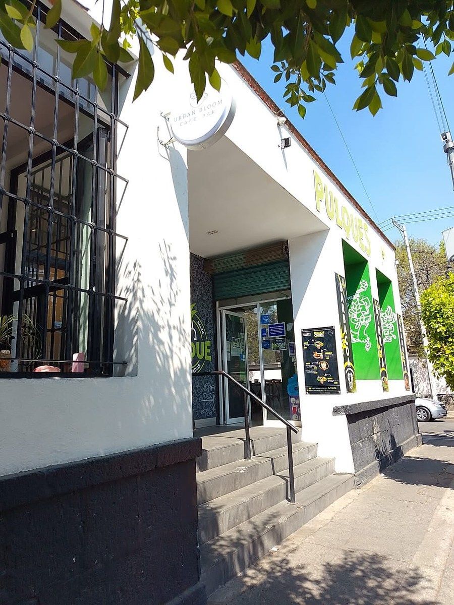 Casa com uso comercial em Del Carmen, Coyoacán, foto 6 de 18