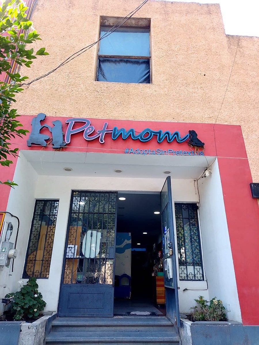 Casa com uso comercial em Del Carmen, Coyoacán, foto 13 de 18
