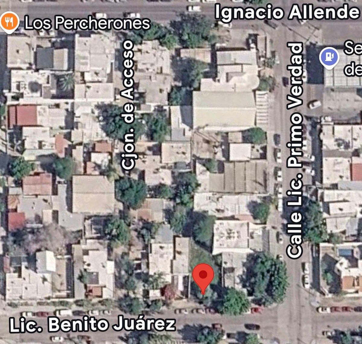 A una cuadra de la calle Allende, foto 2 de 26