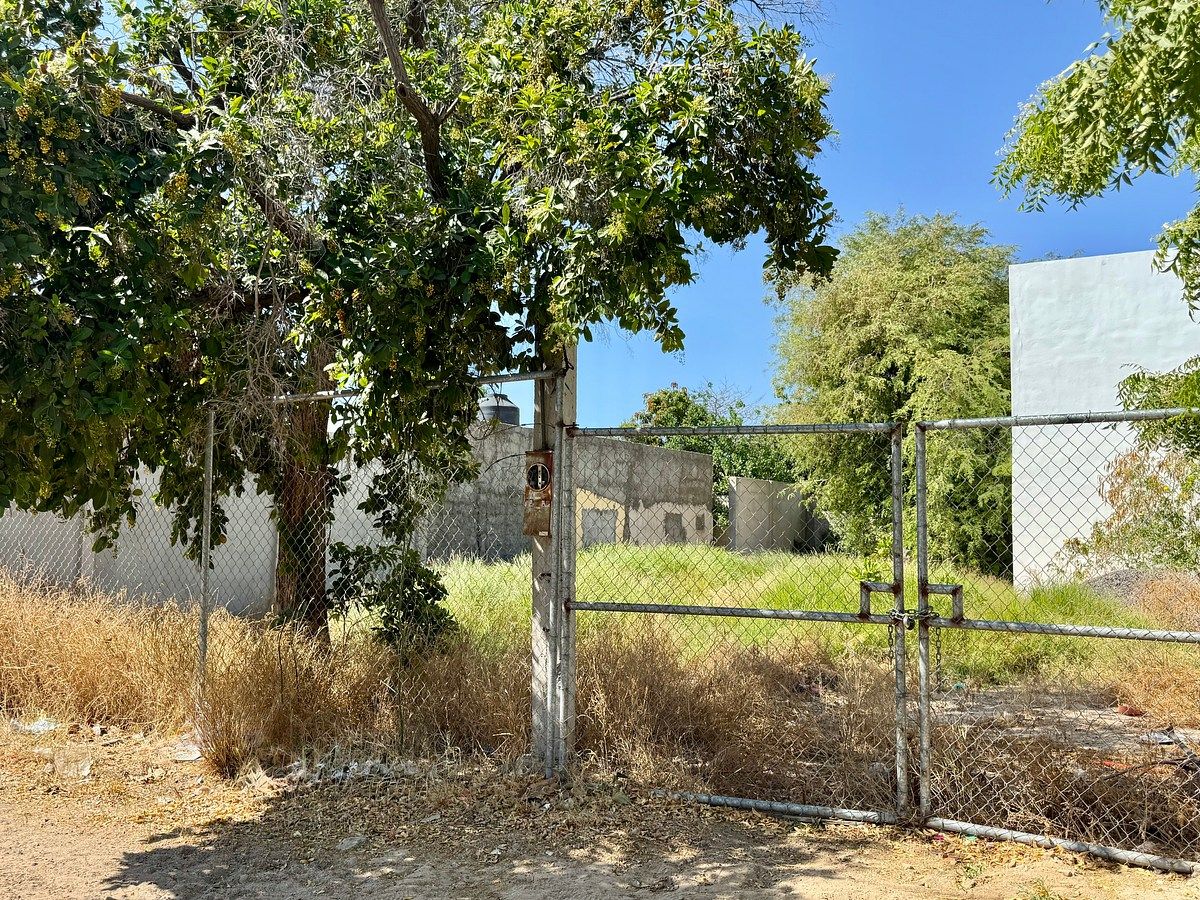 Tiene un árbol que le da sombra a la entrada principal, foto 8 de 26