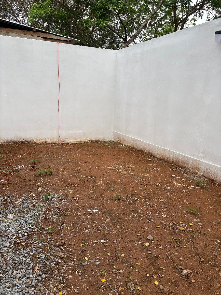 Jardín en la
Parte trasera de la casa, foto 37 de 41