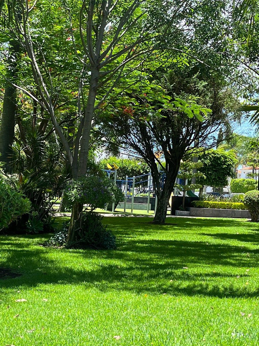 House in Gated Community in Jardín Real, Zapopan, photo 29 of 31