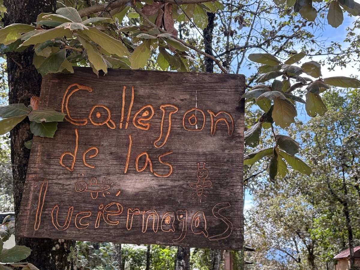 Terreno en Los Alcanfores, San Cristóbal de Las Casas, foto 3 de 5