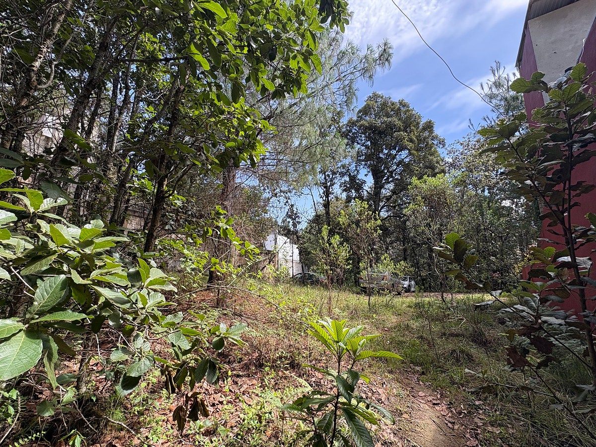 Terreno en Los Alcanfores, San Cristóbal de Las Casas, foto 5 de 5