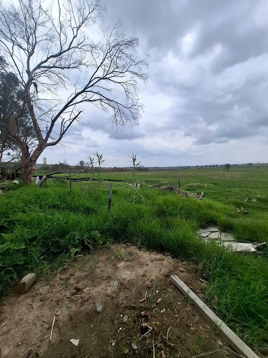 Lote comercial em Colinas del Roble, Tlajomulco de Zúñiga, foto 7 de 10