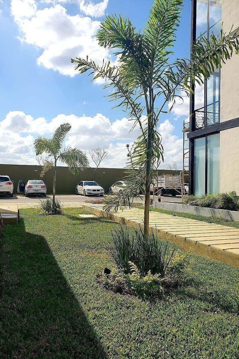 Apartamento em Temozón Norte, Mérida, foto 5 de 18