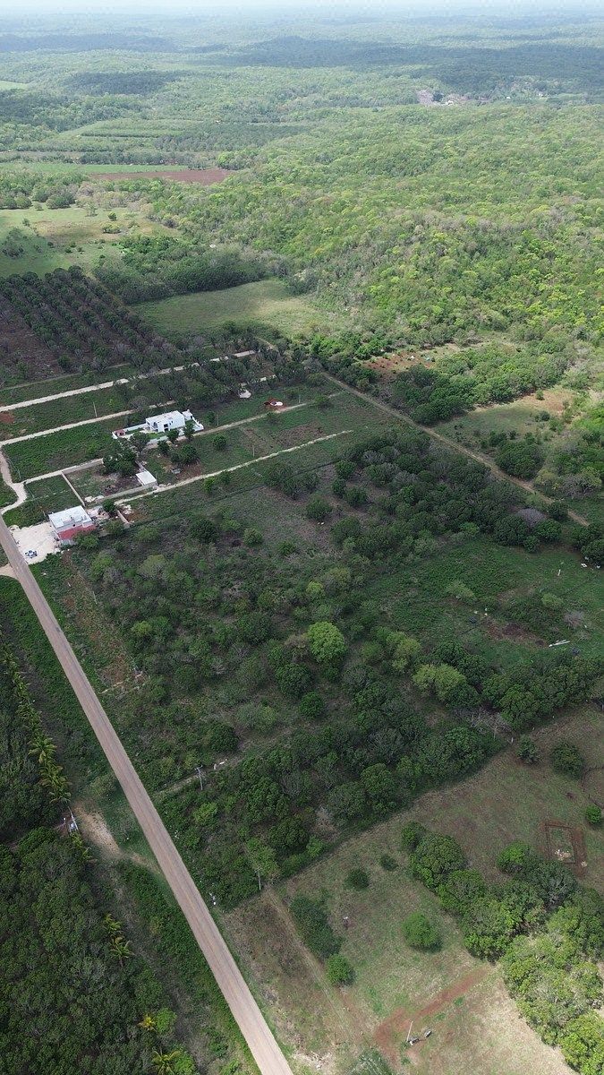 Lot in Imi, Campeche, photo 3 of 22