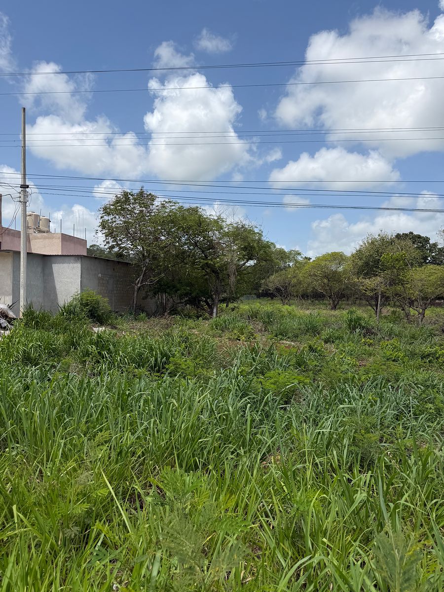 Lot in Imi, Campeche, photo 8 of 22