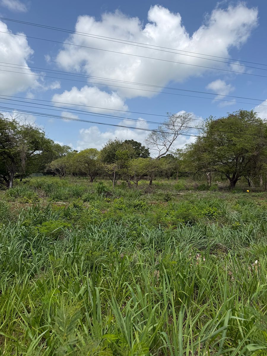 Lot in Imi, Campeche, photo 2 of 22