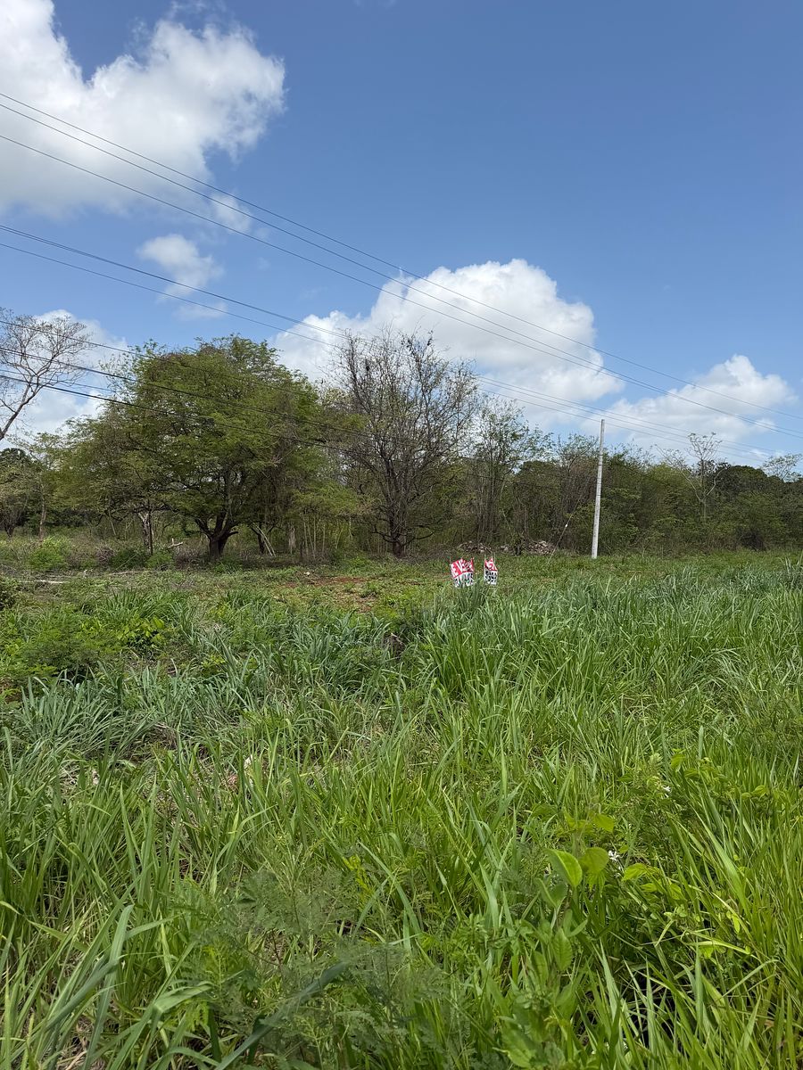 Lot in Imi, Campeche, photo 9 of 22