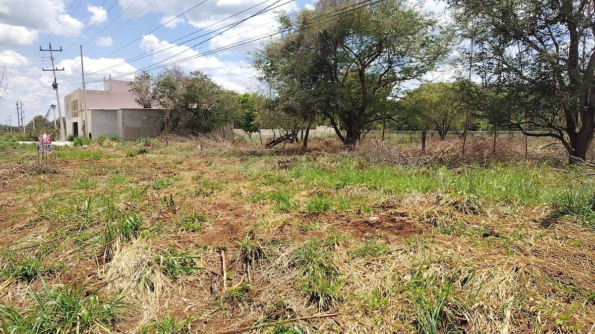 Lot in Imi, Campeche, photo 14 of 22