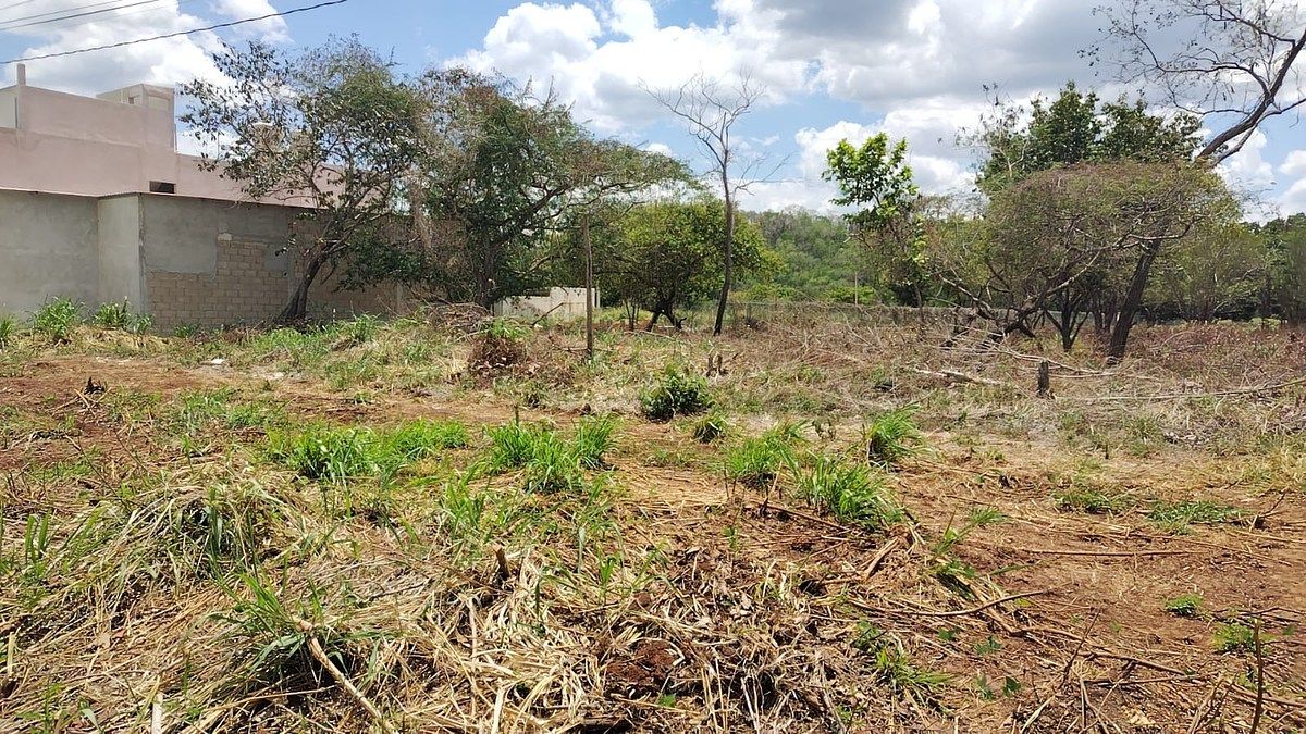 Lot in Imi, Campeche, photo 15 of 22