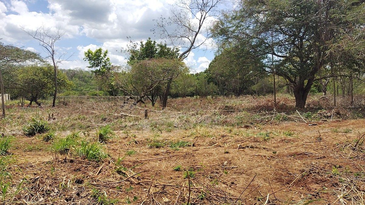 Lot in Imi, Campeche, photo 16 of 22