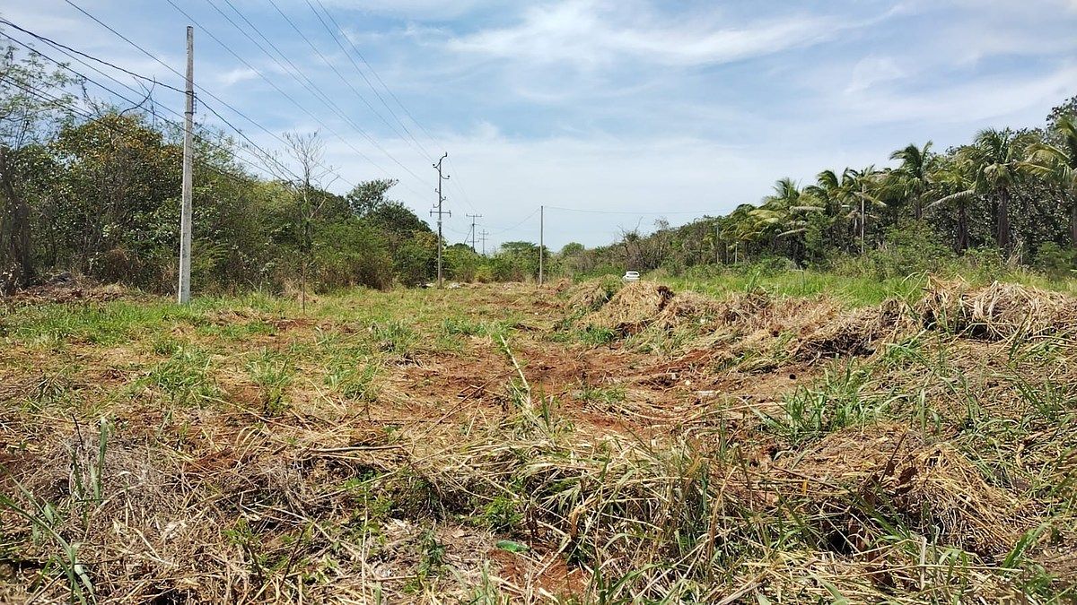 Lot in Imi, Campeche, photo 17 of 22