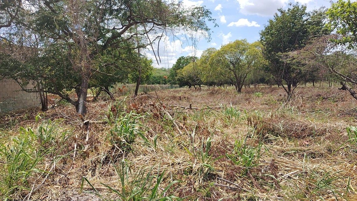 Lot in Imi, Campeche, photo 21 of 22
