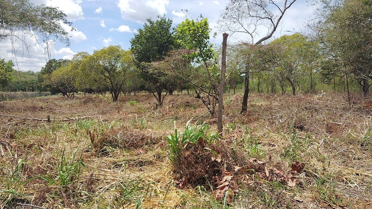 Lot in Imi, Campeche, photo 22 of 22