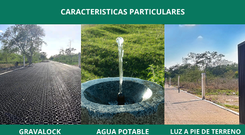 Terreno en venta al norte de Mérida en carretera Chicxulub, Yucatán - foto 3