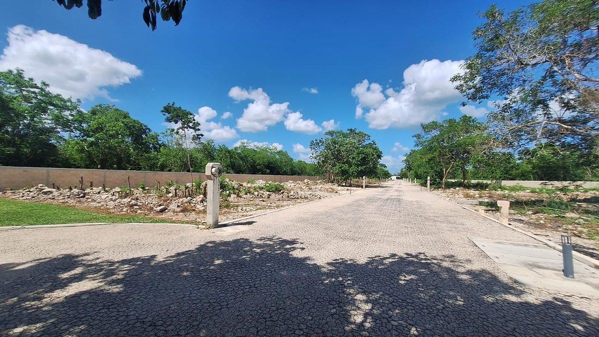 Terreno en venta al norte de Mérida en carretera Chicxulub, Yucatán - foto 5
