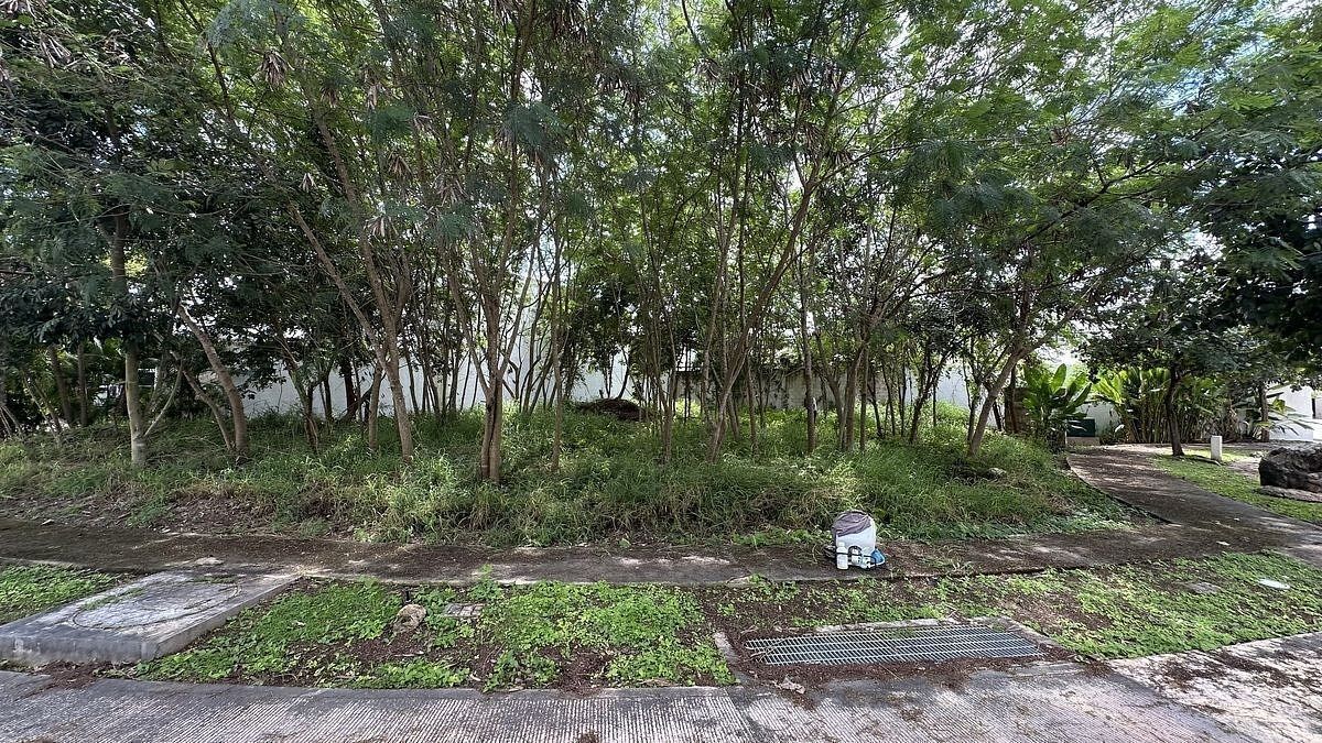 Venda de Terreno no Parque Natura Mérida na esquina, foto 1 de 4