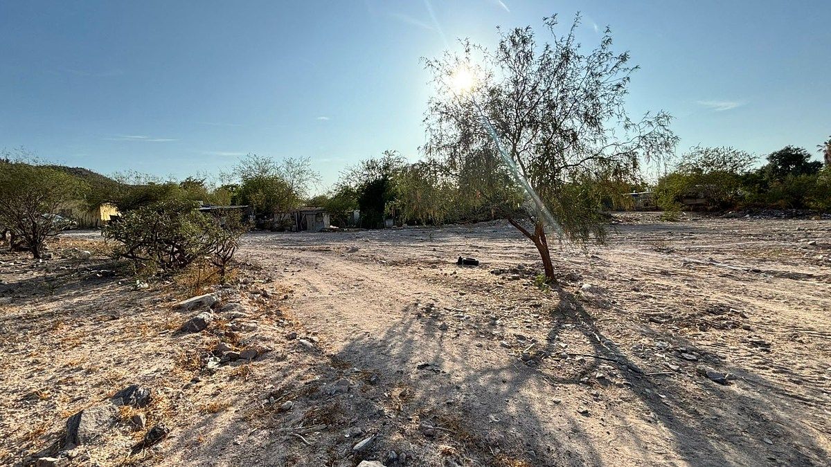 LOTES EL CARDONAL  FASE I, foto 1 de 12