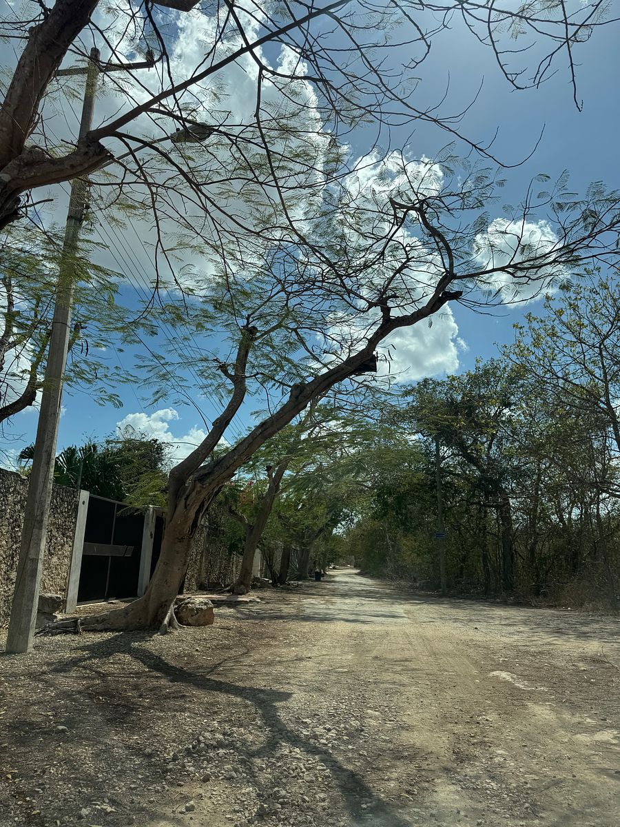 Lot in Cholul, Mérida, photo 6 of 10