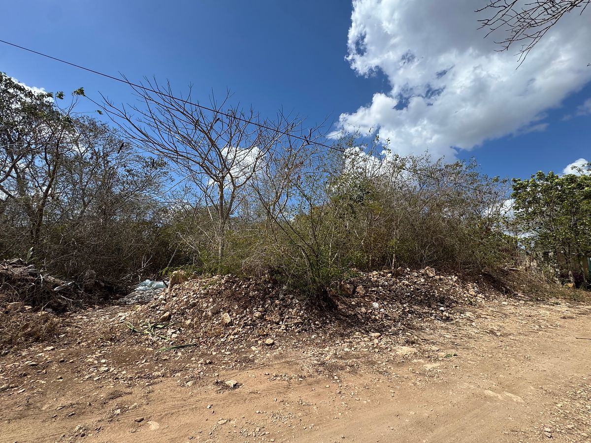 Lot in Cholul, Mérida, photo 7 of 10