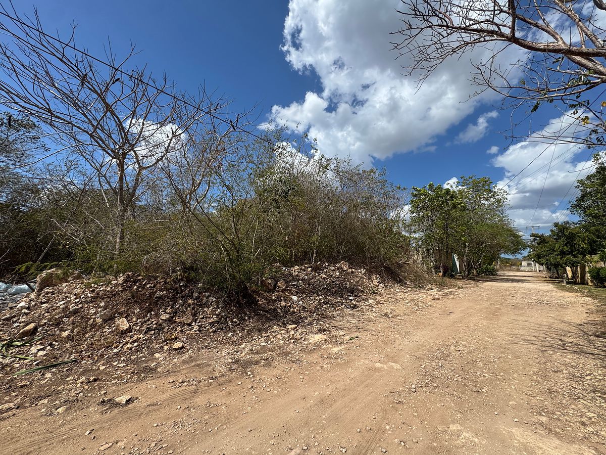 Lot in Cholul, Mérida, photo 8 of 10