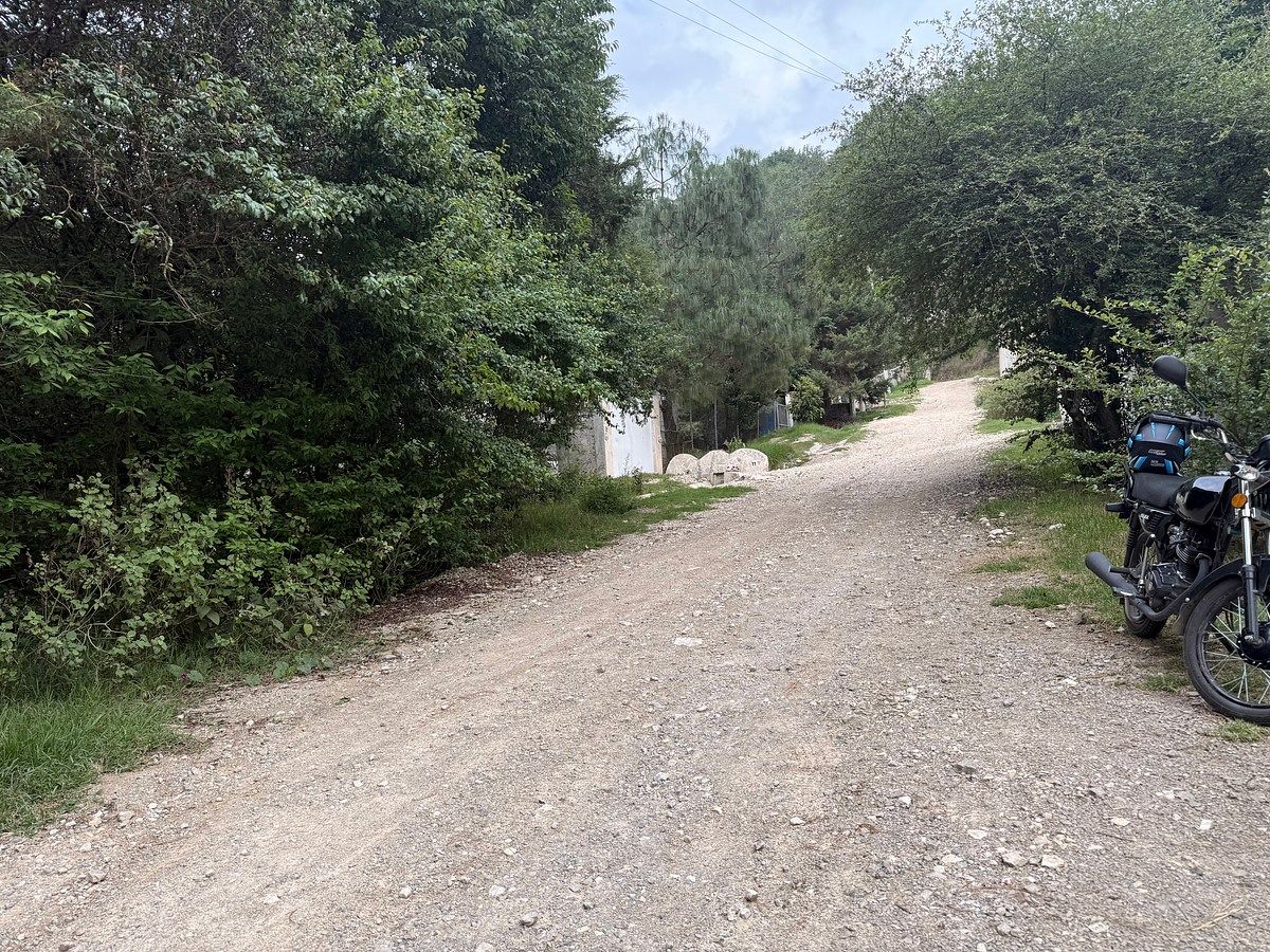 🌿 ¡Invierte en un paraíso natural y haz realidad tu próximo proyecto! 🌿, foto 1 de 4