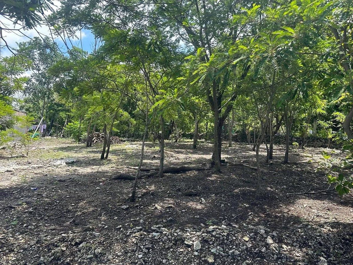 Lote em El Jobo, Tuxtla Gutiérrez, foto 9 de 9