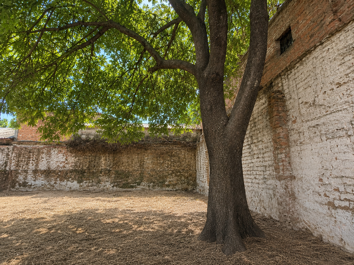 Lot in San Juan Bosco, Guadalajara, photo 8 of 9